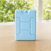 Reusable Ice Brick Box for Cooler Bags - Food & Beverage Preservation, Refrigeration, and Cooling
