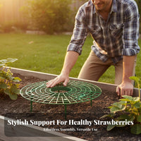Strawberry Support Rack Keeps Berries Clean Strawberry Growing Frame Prevents Fruit Growing Frame for Gardeners, Farmers, Garden, Greenhouse, Farm