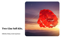 twoLine Sport Kite Large Kite with Line Boards Full-Sized Toy for Park