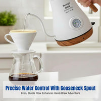 Stainless Steel Electric Gooseneck Kettle, Temperature Control, Drip Over Coffee Pot, Insulated, Fast Heating