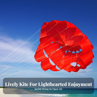 twoLine Sport Kite Large Kite with Line Boards Full-Sized Toy for Park