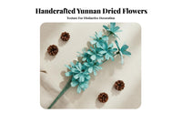 Dried Bouquet DIY Friendly Decorative Aesthetic Decor for Photo Props, Table Centerpieces, Office
