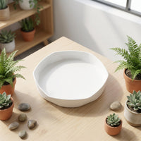 Plant Saucers and Drip Tray Bundle of 66, Heavy Duty Plant Pot Saucer for Indoor Use, Nordic Minimalist Style Trays Set 66pk