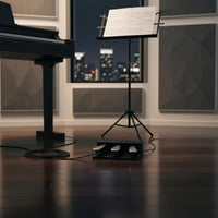 Universal Compatibility Keyboard Sustain Pedal Unit Metal Pedals Musical Instrument Accessory for Home Studio, Stage Performance