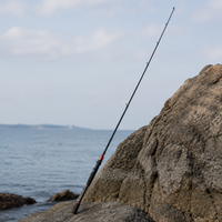 2 Section Fishing Rod and Reel Combo Lure Fishing Equipment for Beginner Fishers