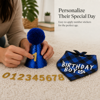 Pet Birthday Party Decoration Set with Hat, Bandana, and Numbers for Cats and Dogs