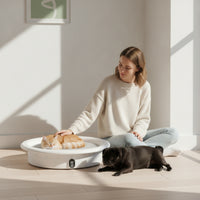 Smart Pet Bed Cooling Temperature Controlled Pet Bed Adjustable Low-Height for Cats, Living Room