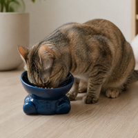 Ceramic Tilted Pet Bowl for Cats and Small Dogs, Anti-Tip Design, Food and Water Dish for Kittens and Puppies