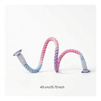 Bird Perch with Suction Cups Rainbow Window Bird Perch for Parrots