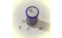 Portable Bug Stamp Prank Cylindrical Stamp Novelty Quirky for Stationery Lovers, Pranks