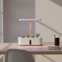 Soilsoilless Hydroponic Planter with Grow Light Compact Tabletop Hydroponic Planter Fresh Indoor Herb Garden Healthy for Apartment Dwellers, Gardeners, Kitchen, Home, Windowsill