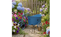 Decorative Iron Tricycle Garden Wagon Vintage Rustic Flower Display Wagon Rust Finish Wagon Planter Small Size for Photography Prop