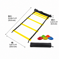 agility ladder set