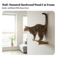 Space Capsule create & install customizable feline mounted Furniture Set DIY Setup Pegboard feline Climbing Set Multitier Design pet Activity Center Easy Installation for People with Small Homes, Apartment Dwellers, Living Room, Bedroom, Study, Playroom