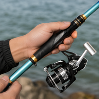 fishing rod