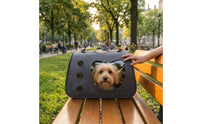Pet Carrier Bag with Clear Window Portable Soft-Sided Pet Carrier Transparent for Commuting
