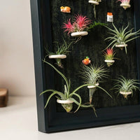 Hanging Plant Frame, Black Tillandsia Holder, Square MDF Plant Frame, Retro Wall Decor for Office & Bedroom