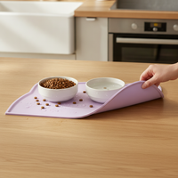 BD Flying Saucer Ceramic Pet Bowl with Elevated Iron Stand for Cats and Dogs, Anti-Tip, Macaron Colors