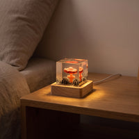 Ambient Volcano Lamp with Wooden Base Decorative Volcano Lamp with Wood Base Transparent Ornament Clear for Workspace