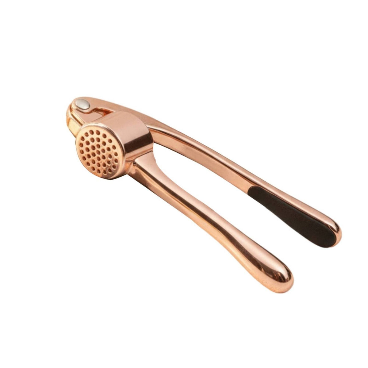 Garlic Press Manual Garlic Press with Storage Box Compact for Everyday Cooking