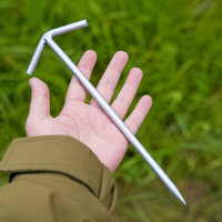 tent stake