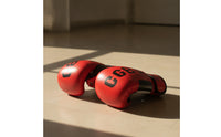 6 Oz Boxing Training Gloves Hook-and-Loop Junior Boxing Gloves Synthetic Leather Padded for Beginners, Teens, Sanda