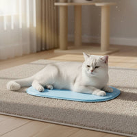Polished Surface Oval Cooling Mat Rounded Corners Raised-Edge Cooling Tray Easy to Clean Pet Gear Portable
