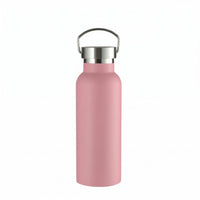 Brushed Finish Stainless Steel Water Bottle Matte Insulated Water Bottle Carry Handle Vacuum Container Double Wall Insulation