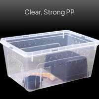 Amphibian Breeding Box, Transparent Stackable Vivarium