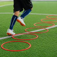 agility training rings
