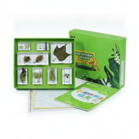 Resin-Embedded Sample Kit with Tray Clear-Cover Educational Sample Collection Natural Child-Friendly for Classroom, Homeschool