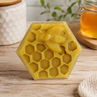 Portable with Handle Bee Luring Container Ventilated Design Wild Bee Catcher Container Sturdy PP Plastic Waterproof for Beekeepers, Apiarists, Outdoor, Farm, Garden