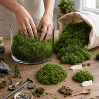 Artificial Moss Decor for Terrariums, Miniature Landscapes and Model Scenes