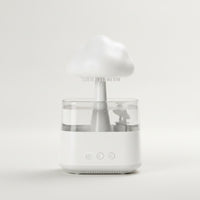 Rain Cloud Humidifier Quiet Cloud Humidifier Appliance Cool Mist for Adults, Bedroom, Living Room