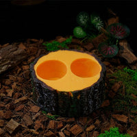 Wood Grain Reptile Water Bowl with Textured Interior Dish, Tortoise Accessories for Reptiles and Snakes, Brown Standalone Bowl