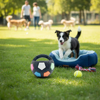 Built-in Squeaker Interactive Catapult Toy Bite Resistant Dog Toy Safe Materials Pet Supply for Outdoor