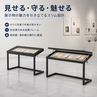 museum display case