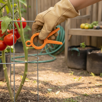 Plant Support Clips for Climbing Vines, Tomatoes, and Garden Plants