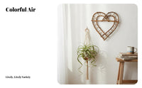 Hand-Woven Macrame Air Plant Holder handmade Hanging Planter Bohemian and design on the wall Decoration Easy to Hang for Boho lovers, Home Decorators, Gardeners, Living Room, Bedroom, Balcony, Office