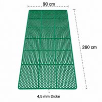 anti-skid mat