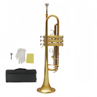 Two-tone B-flat Trumpet with Brass Body and Stainless Steel Pistons