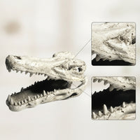 Lifelike Crocodile Skull Hide Weathered Reptile Hide Hollow Terrarium Ornament Long-Lasting for Vivarium