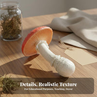 Realistic Mushroom Model Highly Detailed Miniature Model Solid PVC Material Fake Mushroom Decoration for Teachers, Science Project, Classroom