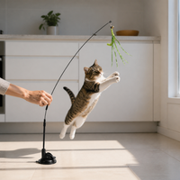 Cat Teaser Wand with Suction Cup Base and Feather/Foxtail Attachments