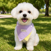 Dog & Cat Bandana, Birthday, Size S, Lilac, Canvas Fabric, Pet Accessory, Fits Neck Up to 30cm