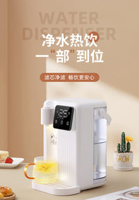 即热饮水机家用台式速热直饮机小型桌面茶吧机110V饮水机一件起批 美规