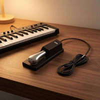 Universal Compatibility Keyboard Modulation Pedal 2 in 1 Keyboard Volume Pedal Polarity Switch Audio Gear No Battery Needed for Stage, Studio