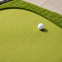 golf practice net and putting green