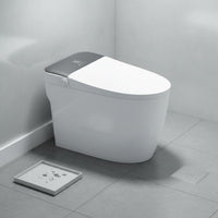 Single Piece Smart Toilet Sterilization Voice Control Toilet Night Light Built-in Reservoir