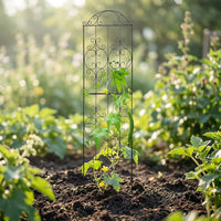 Black Iron Trellis for Garden Borders, Rust-Resistant Plant Support for Climbing Plants, Modern Decorative Metal Trellis